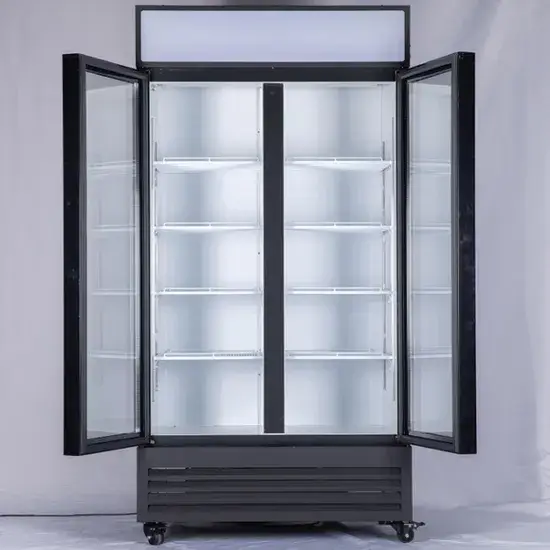 Tủ lạnh thương mại hai cánh Coolssmann dành cho đồ uống có màu sắc đa dạng hình ảnh 1-description
