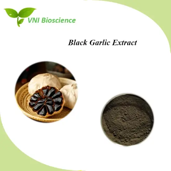 Đạt chứng nhận Kosher - Chiết xuất Tỏi Đen Allicin Allium Sativum L chất lượng hình ảnh 1-description