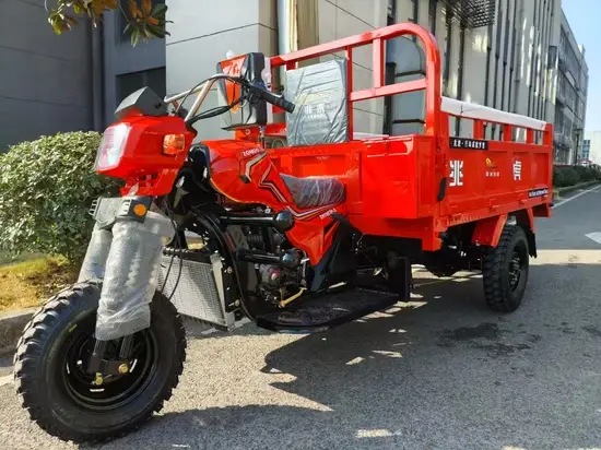 Xe ba bánh chạy xăng 200cc/250cc có thể điều chỉnh tùy chỉnh cho vận chuyển hình ảnh 1-description