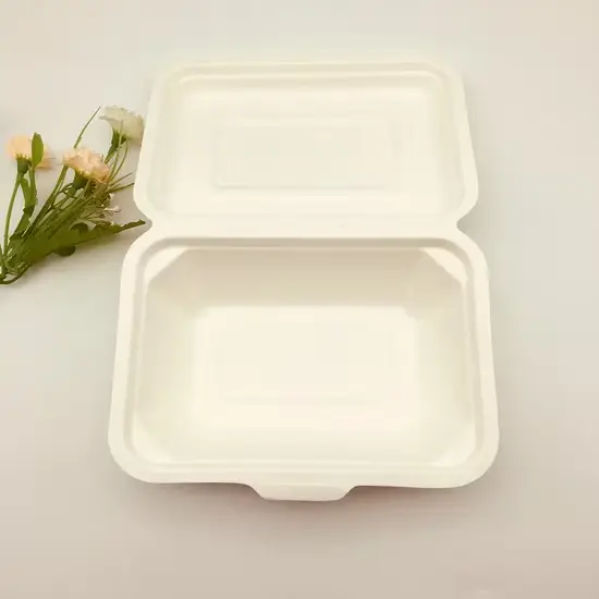 Hộp thực phẩm kích thước 9′ ′ X6′ ′ là sản phẩm được làm từ bã mía phân hủy sinh học và có khả năng phân hủy compost hình ảnh 1-description