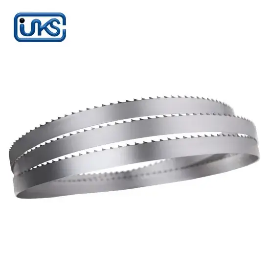 Đấu lưỡi cưa băng cho việc cưa xương thịt hình ảnh 1-description