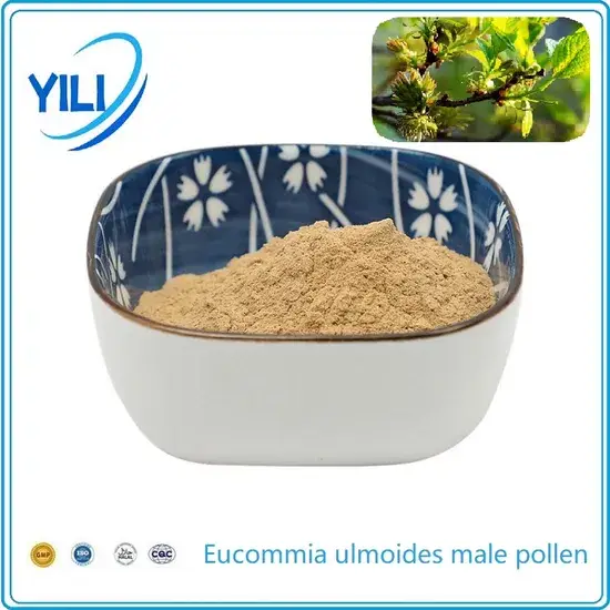 Chiết xuất lá hoa đực cây Nhân trần - Giải pháp tự nhiên cho sức khỏe hình ảnh 1-description