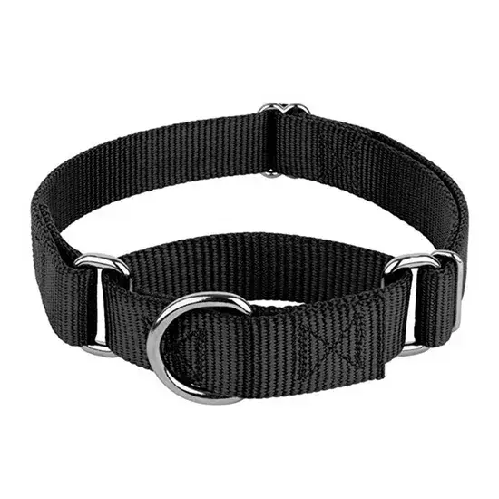 Dây cổ chó martingale vật liệu nylon tiện lợi điều chỉnh linh hoạt hình ảnh 1-description