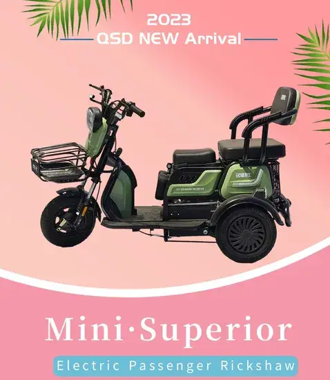 Xe điện Rickshaw 3 Bánh 48V 500W - Lựa chọn thông minh cho phương tiện di chuyển hàng ngày hình ảnh 1-description