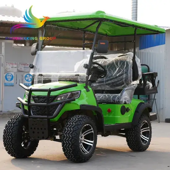 Xe đẩy golf điện 2 chỗ công suất lớn với pin lithium trực tiếp từ nhà sản xuất hình ảnh 1-description
