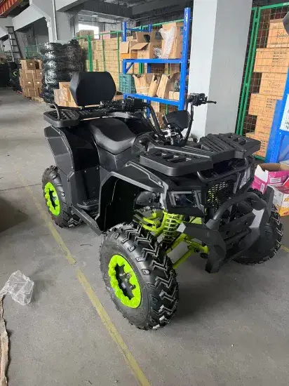 Động cơ ATV người lớn xăng Gy6 400cc cho chuyến đi trên mọi địa hình hình ảnh 1-description