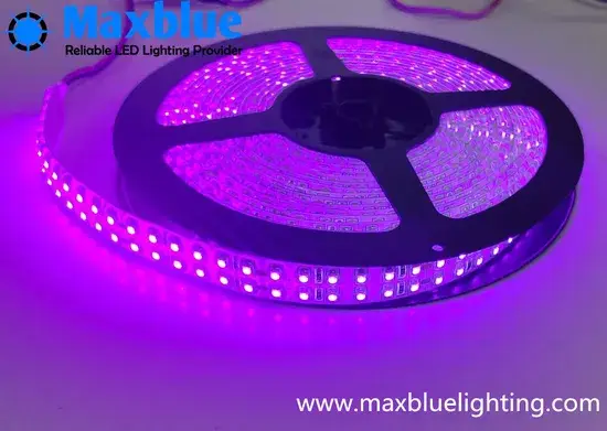 Đèn LED UV dải sáng 3528SMD 240LED/M tím tím 365nm/375nm/395nm/400nm DC24V tiết kiệm năng lượng hình ảnh 1-description