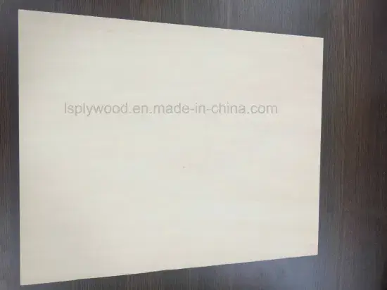 Tủ 18mm chất lượng cao sử dụng trong nhà với vật liệu chống cháy HPL Plywood hình ảnh 1-description