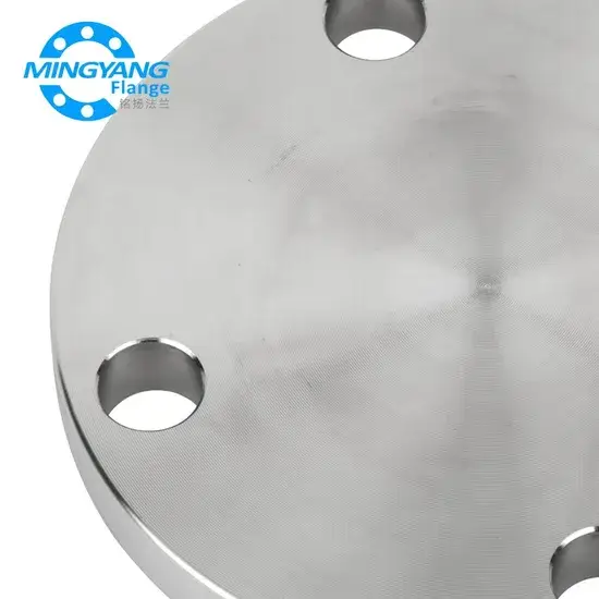 Nắp Bích Ống Thép DN80 Pn20/50/110/150/260/420: Sản phẩm chất lượng cao hình ảnh 1-description