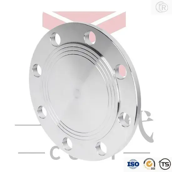 Tấm bịt chất liệu thép không gỉ 304/316 chống tĩnh điện: An toàn khi vận chuyển chất liệu nguy hiểm hình ảnh 1-description
