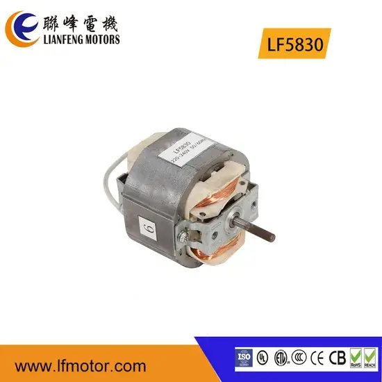 Động cơ đa năng 110V-240V cho máy sấy tóc, chứng nhận CE hình ảnh 1-description