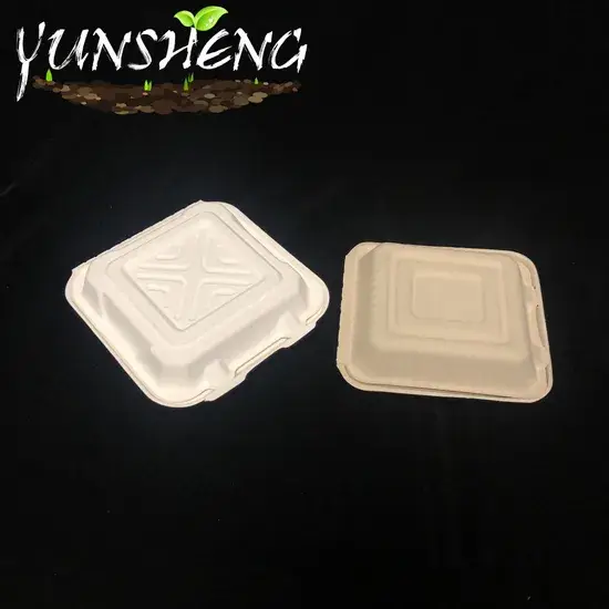 Đại lý cung cấp hộp vuông giấy thân thiện môi trường, phân hủy sau sử dụng hình ảnh 1-description