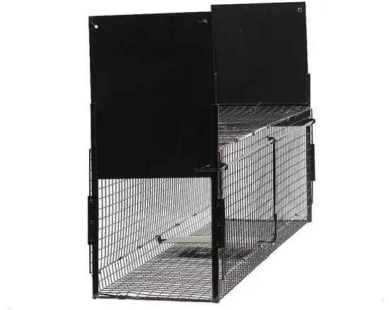 Bộ bẫy nhỏ dành cho các loài động vật sống tự nhiên hình ảnh 1-description