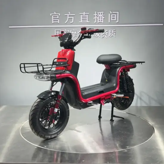 Xe máy điện chở hàng E Motorcycle cho người lớn 2025 hình ảnh 1-description
