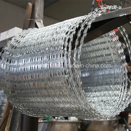 Vật liệu xây dựng chịu lực cao: Dây thép gai mạ kẽm sắc nhọn hình ảnh 1-description