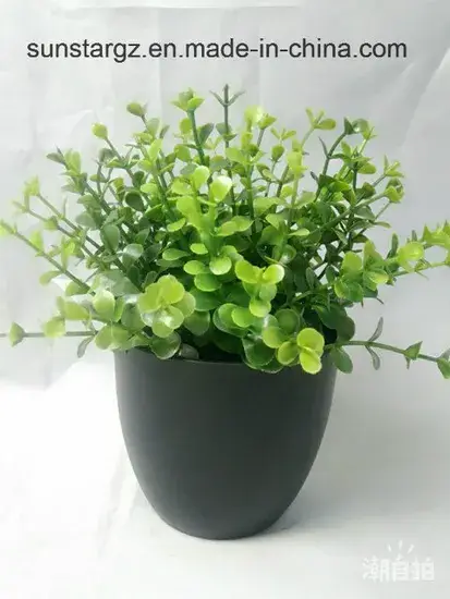 Cây Eucalyptus Nhân Tạo Trong Chậu - Lựa Chọn Sáng Tạo cho Nội Thất Nhà hình ảnh 1-description