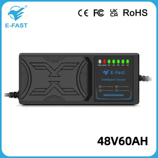 Bộ sạc pin thông minh 48V60ah điều chỉnh xung sửa chữa pin AGM và Gel hình ảnh 1-description