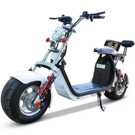 Bộ động cơ xe tay ga 600W công suất cao - Giao hàng miễn phí hình ảnh 1-description