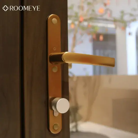 Cửa gỗ bọc nhôm mở cánh với độ hoàn thiện cao và chứng nhận CE hình ảnh 1-description